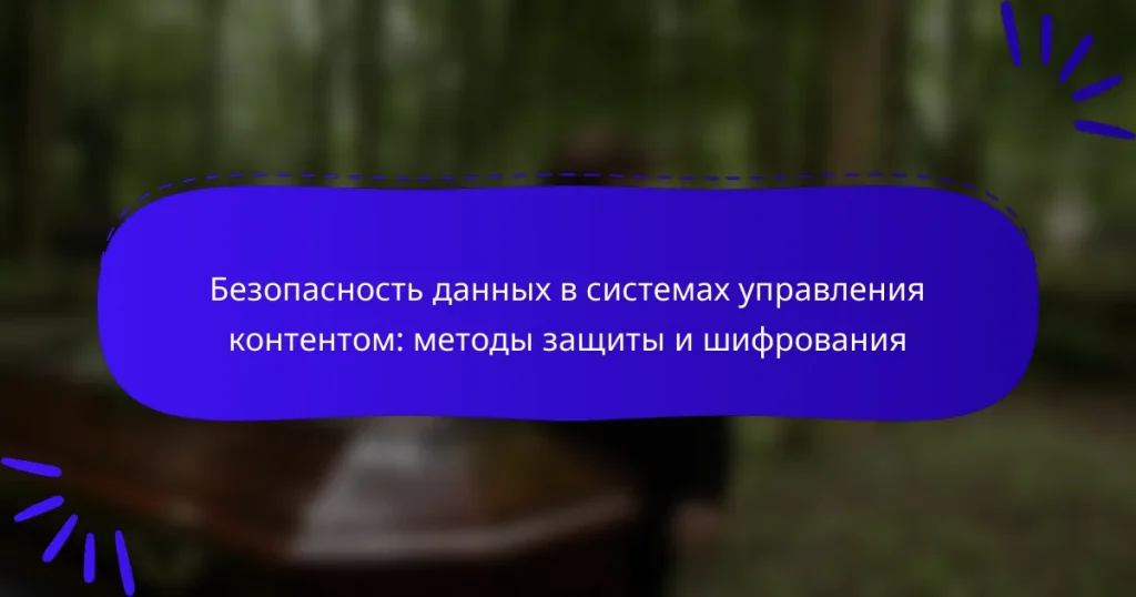 Безопасность данных в системах управления контентом: методы защиты и шифрования